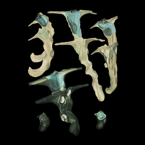 Rainforest Spiritual Enslavement - 12" Glow In The Dark Vinyl